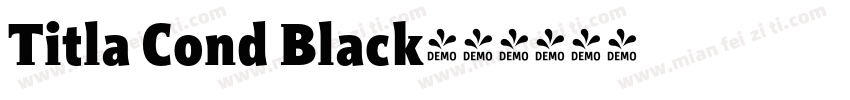 Titla Cond Black字体转换